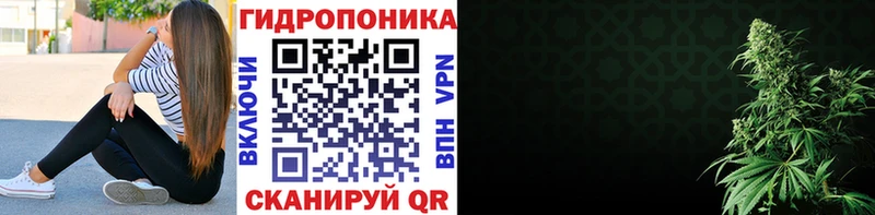 Конопля марихуана  Зеленокумск 